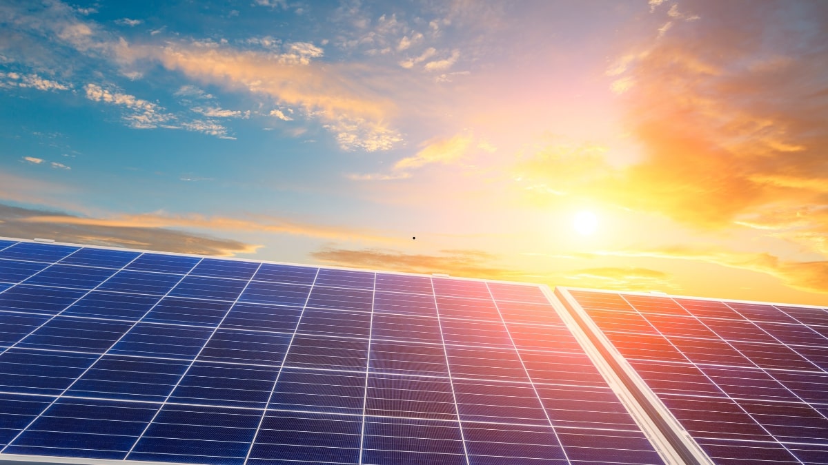 Panneaux solaires : calculer la rentabilité et éviter les pièges